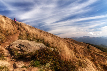 Bieszczady National Park.