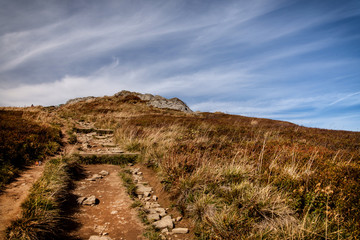 Bieszczady National Park.