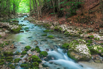 Mountain river in forest and mountain terrain. Crimea, the Grand Canyon. Nature composition.