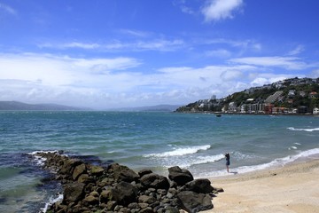 Freyberg Beach,Wellington,New Zealand  © asanojunki0110