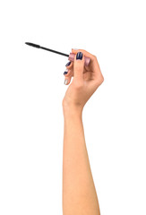 mascara brush in hands of women isolated