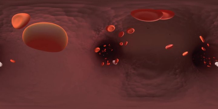 Inside a Blood Vessel 360 VR
