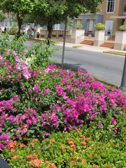jardin de colores en una calle en san juan de puerto rico