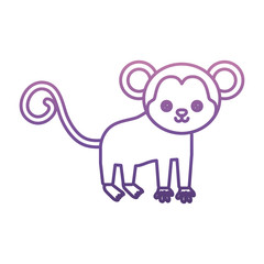 cute monkey icon over white background vector illustration