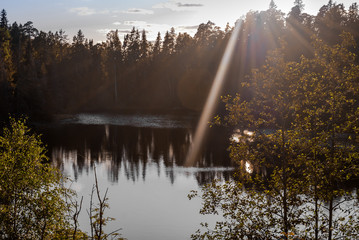 Sun glare and the rays of the sun on the trees and the lake. Shooting in Backlight