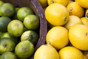 Lemon or Lime
