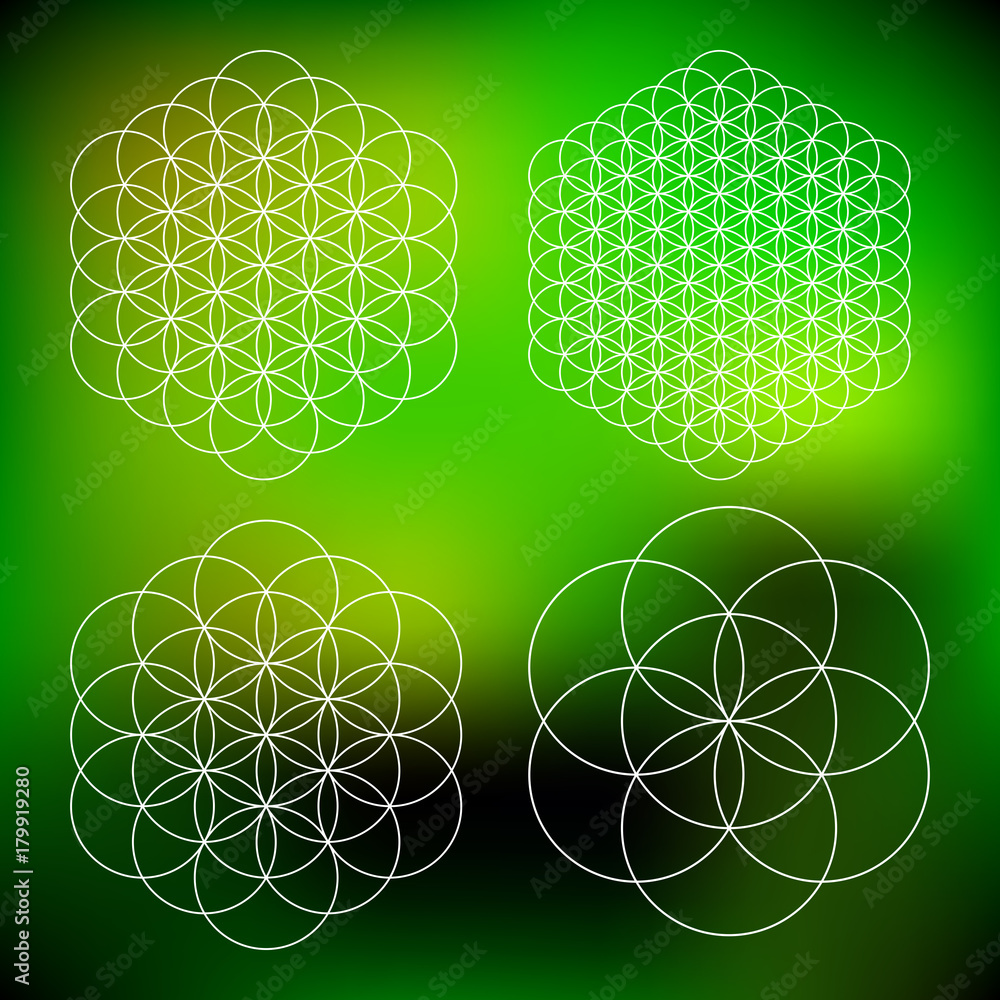 Wall mural vector computer generated flower of life symbol fractals - generative art set