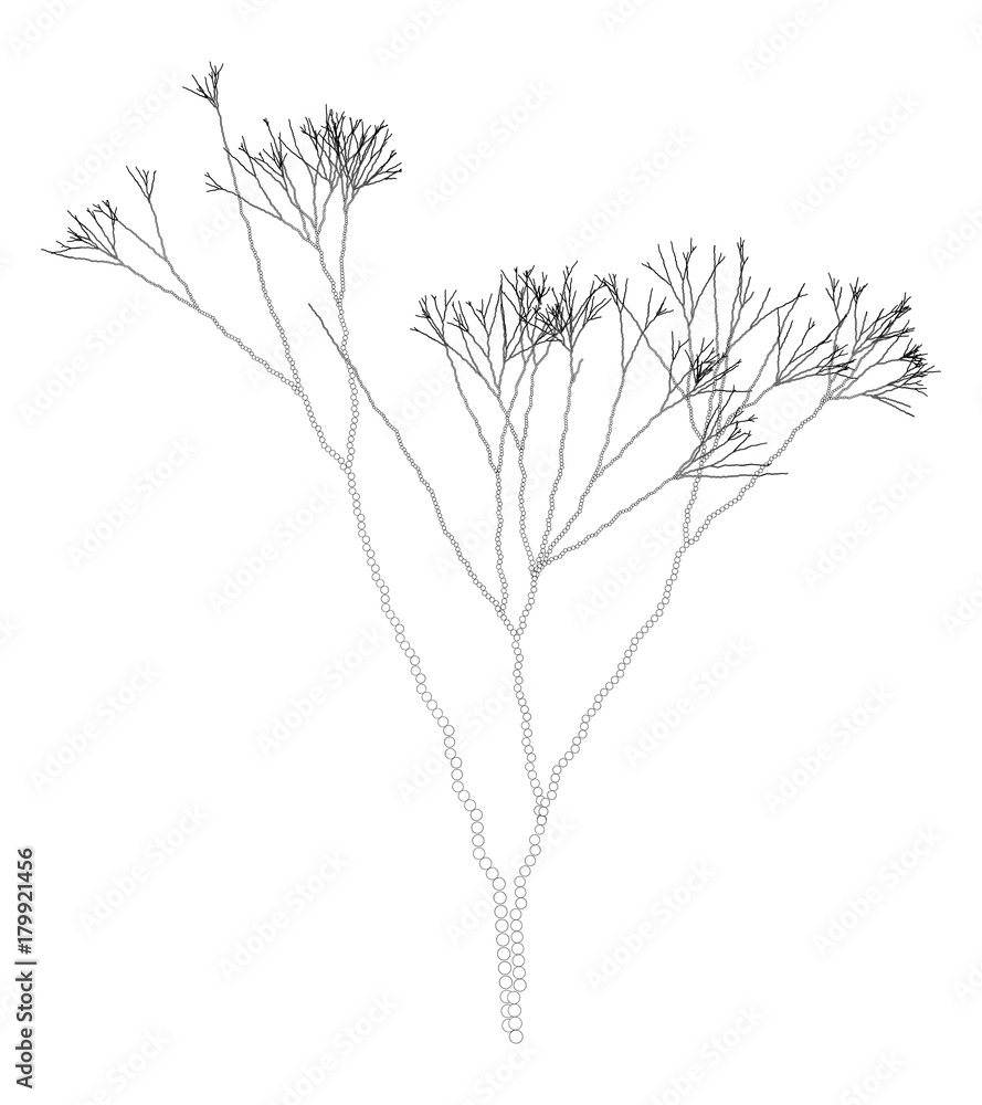 Wall mural vector fractal dotted algae branches - graaphic element