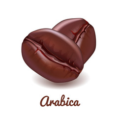 Realistic coffee beans isolated on white background