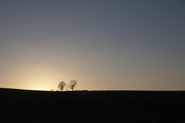 Fototapeta na wymiar 日没の空と木立