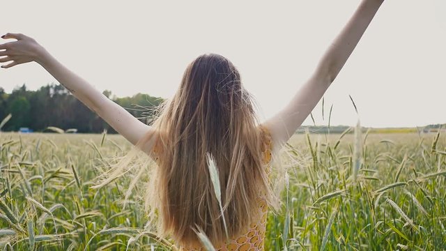 A beautiful young russian girl in a summer dress with long hair in a field among tall and green wheat ears. The girl raises her hands up, enjoying nature. The sun. Summer. Youth. Freedom.