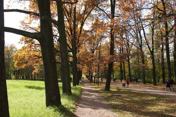 Sunny autumn day in the park