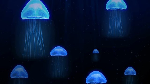 Animation blue jellyfish in deep sea underwater background pattern in marine. Sea animal background or screen saver concept 4k.
