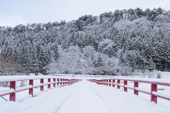 21 Best 日本の冬景色images Stock Photos Vectors Adobe Stock
