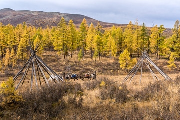Abonded camp of the Tsaatan - reindeer herders in the Mongolian taiga