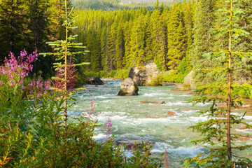 athabasca river british columbia