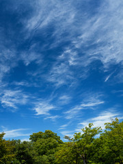 Obraz premium 青空と雲