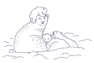 Мишки на севере