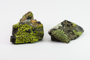 Осколки гранита, обросшие лишайником