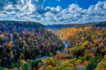 Fall in the Canyon