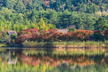 秋の京都　広沢池