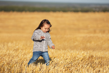Naklejka na ściany i meble Happy 2 year old girl walking in a summer harvested field