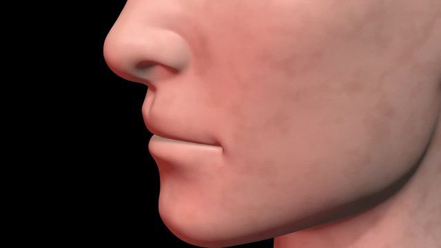 Age spots vanish from facial skin .Face rotates. 3d animation