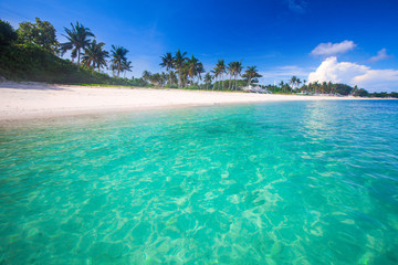 Fototapeta premium plaża i tropikalne morze