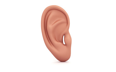 3d rendered ear isolated on white background
