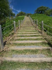 丸墓山古墳　埼玉県