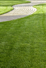 Evenly trimmed lawn grass in the backyard.