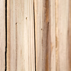 abstract texture of a wood  wall