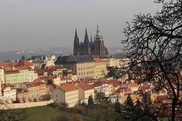 Fototapeta premium View on colorful autumn Prague City with its Towers and historical Buildings, Czech Republic
