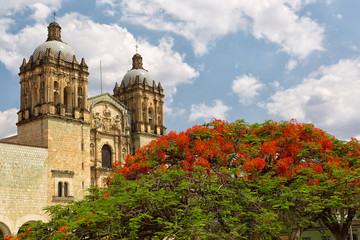 the towers of Santo Domingo Guzman cathedral with a flowering tree in the foreground