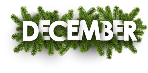 December banner with fir branches. - obrazy, fototapety, plakaty