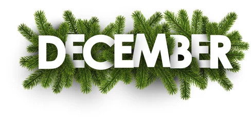 Deurstickers December banner with fir branches. © Vjom