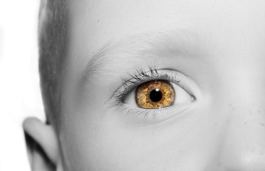 A beautiful insightful look eye.