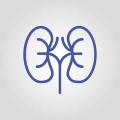 Kidneys isolated flat vector linear icon