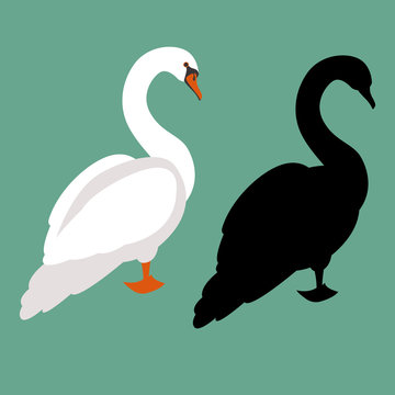swan vector illustration flat style black silhouette