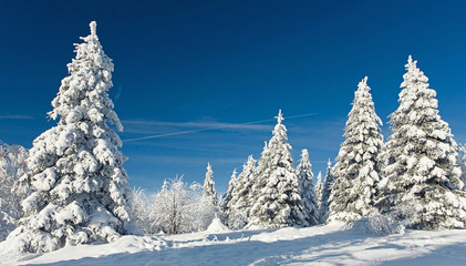 sonniger Tag im Winter