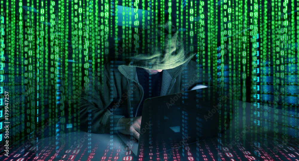 Leinwandbilder Hacker accessing to personal data information with a computer 3D rendering