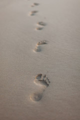 Footprints in the sand