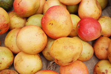 mango fruits background