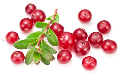 Ripe cranberries and green leaves on the white background.