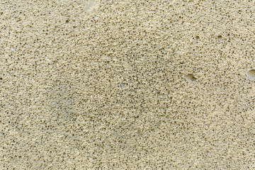 Texture of aerated concrete wall.