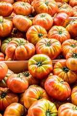 Lots of tomatoes. Top view.