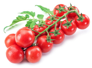Branch of cherry tomato on the white background.