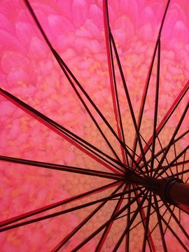 Sfondo fucsia e rosa