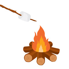 Campfire and marshmallow