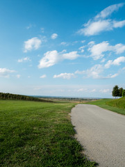 Road close to the vineyard